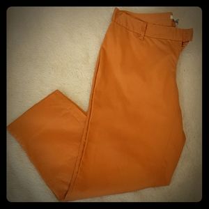 barIII Capri Pants